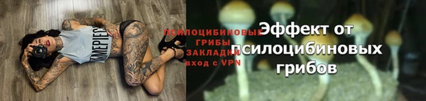 тгк Белокуриха