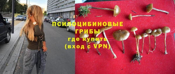 spice Белоозёрский