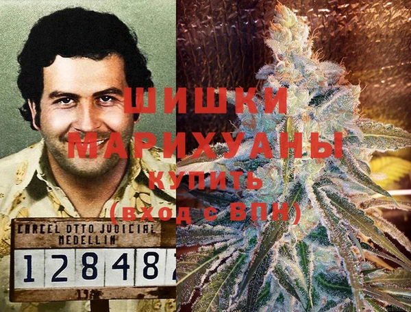 ГАЛЛЮЦИНОГЕННЫЕ ГРИБЫ Богородицк