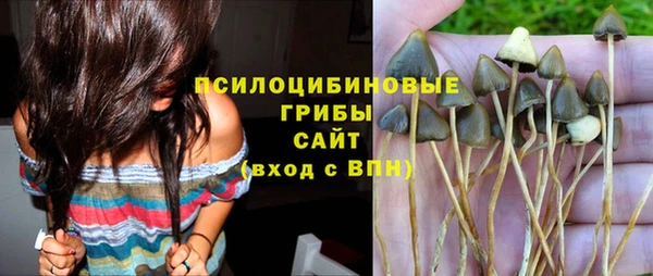 spice Белоозёрский