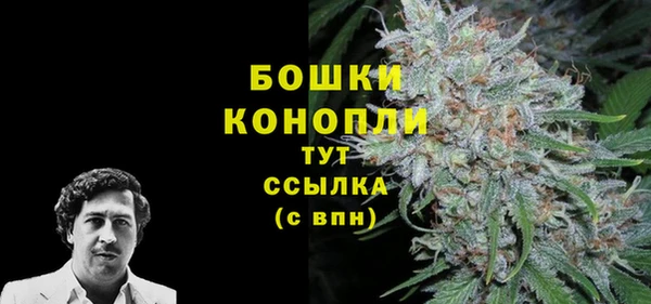 ГАЛЛЮЦИНОГЕННЫЕ ГРИБЫ Богородицк