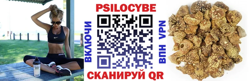 Псилоцибиновые грибы Magic Shrooms  цена   Абакан 